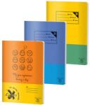 Pigna Caiet A4, 80 file, PIGNA Basic (CC-A480)