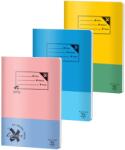 Pigna Caiet A4, 60 file, PIGNA Basic (CC-A460)