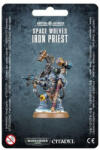  Space Wolves Iron Priest (99070101065)