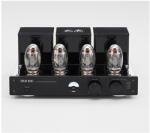 Triode Musashi Amplificator