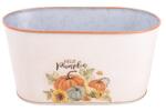 IRIS bádog kaspó ovál, tökök, krém narancssárga 23 x 12 cm (081092) - bestbyte