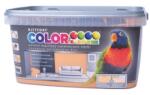Kittfort Prahasro Colorline falfesték 25 aranyhomok 5 L KIFUTÓ (8595030528058)