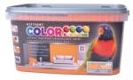 Kittfort Prahasro Colorline falfesték 08 mandarin 5 L KIFUTÓ (8595030526931)