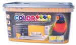 Kittfort Prahasro Colorline falfesték 06 narancssárga 5 L KIFUTÓ (8595030526917)