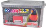 Kittfort Prahasro Colorline falfesték 14 korálpiros 2, 5 L KIFUTÓ (8595030527235)