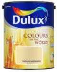 Dulux Nagyvilág Színei Trópusi napsugár 5 L (5273614)