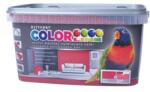 Kittfort Prahasro Colorline falfesték 21 cherry 5 L KIFUTÓ (8595030511999)