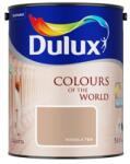 Dulux Nagyvilág Színei Masala tea 5 L (5163320)