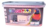 Kittfort Prahasro Colorline falfesték 17 lazacszínű 5 L KIFUTÓ (8595030527020)