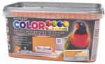 Kittfort Prahasro Colorline falfesték 08 mandarin 2, 5 L KIFUTÓ (8595030527174)