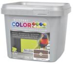 Kittfort Prahasro Colorline falfesték 13 nugátszínű 1 L KIFUTÓ (8595030513689)