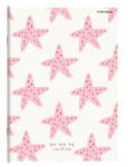  Hamelin kockás füzet, Csillag (A4/87-32) (H_2025_400181775_csillag)