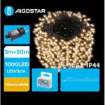 Aigostar B. V. Aigostar - LED Karácsonyi kültéri lánc 1000xLED/8 funkció 53m IP44 meleg fehér B103031PV (AI1395)