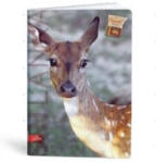  City Travel A4 kockás füzet, Sri Lanka/Őz (1 db) (LI_2021_18312_srilanka)