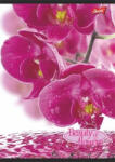  Virág - Flowers A4 kockás füzet, Orchidea (COR_2021_UNFLO432K_orc)