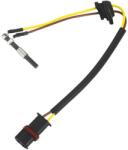 WEBASTO Bujie incandescenta, incalzire auxiliara WEBASTO 1322644C (1322644C)