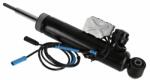 SACHS amortizor SACHS CDC 319 117 (319 117)