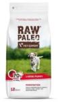 VetExpert Raw Paleo puppy large beef 12 kg