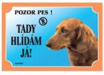  Dafiko tábla hosszúszőrű tacskó