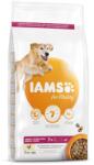 Iams Dog Senior Large Chicken 3kg kutyatáp