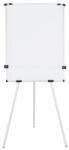 Bi-Silque Flipchart magnetic Earth Kyoto 75 x 107 + kit rola hartie (BSEA144061731)