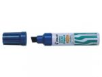 Pilot Set 12 markere permanente Pilot Jumbo diverse culori 12.5 mm varf tesit albastru (-PSCA-6600L-P)