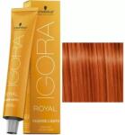 Schwarzkopf Igora Royal Hajfesték Fashion Lights 60ml L-77