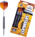 Windson Shtamgast 21 g steel set (WD-SHTAMGAST-ST)