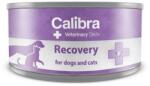 Calibra Veterinary Diet Dog&Cat Recovery 100 g