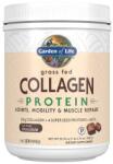 Garden of Life Grass Fed Collagen Protein, Chocolate - 588 grams