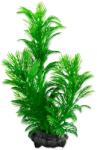 TETRA Dekorációs Tetra Növény Green Cabomba S 15cm
