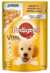  Mars PEDIGREE alutasak kutya JUNIOR csirkehússal & rizzsel aszpikban 24 x 100 g