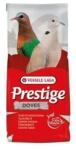  VL Prestige Doves - Exotic Doves- keverék díszgalamboknak 20 kg