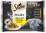 Sheba Mars SHEBA alutasak Baromfi válogatás zselében 4 x 85 g
