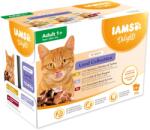 Iams Delights Adult földi hús szószban multipack 1020g (12x85g)