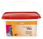  VL Holuby Vita - vitaminok és ásványi anyagok 4 kg