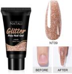 Natali Polygel Glitter Natali NT09 30gr - NT01 - Everin (NT09)