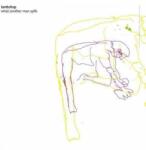 City Slang 2LP Lambchop: What Another Man Spills LTD | CLR