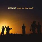 Polydor LP Elbow: Dead In The Boot