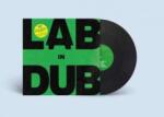 Echo Beach LP Paolo Baldini DubFiles: L. A. B In Dub LTD