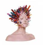 4AD LP Pixx: The Age Of Anxiety CLR