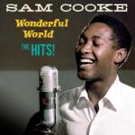 Cooke, Sam Wonderful World - the Hits (Crystal Clear Vinyl)