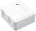 Emtex Box 2 porturi cu capac antipraf - EMTEX, EMT-BOX2P (EMT-BOX2P)