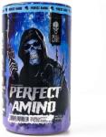 SKULL LABS Perfect Amino, 450 Grams
