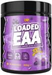 CNP Professional Loaded EAA, 300 Grams