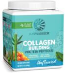 Sunwarrior Collagen Building Protein Peptides, 500 g