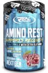 REAL PHARM Amino Rest, 500 Grams