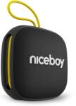 Niceboy RAZE Mini 4