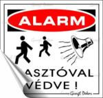  Információs matrica, 8, 7x8, 3 cm, "Riasztóval védve (LUIN073) - webpapir