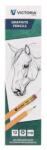 Victoria Grafitceruza radírral, HB, hatszögletű, VICTORIA OFFICE, "100 (TVI09102) - webpapir